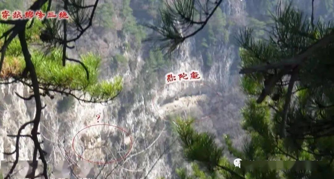 国家魔法森林逃亡