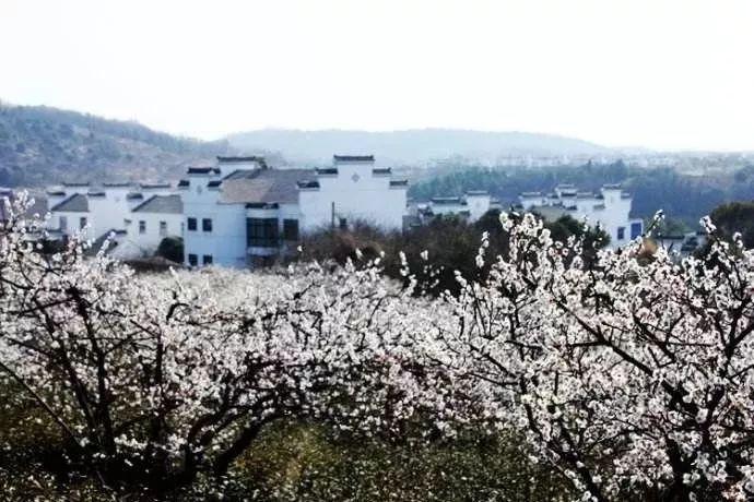 寓言是什么意思？游戏画面